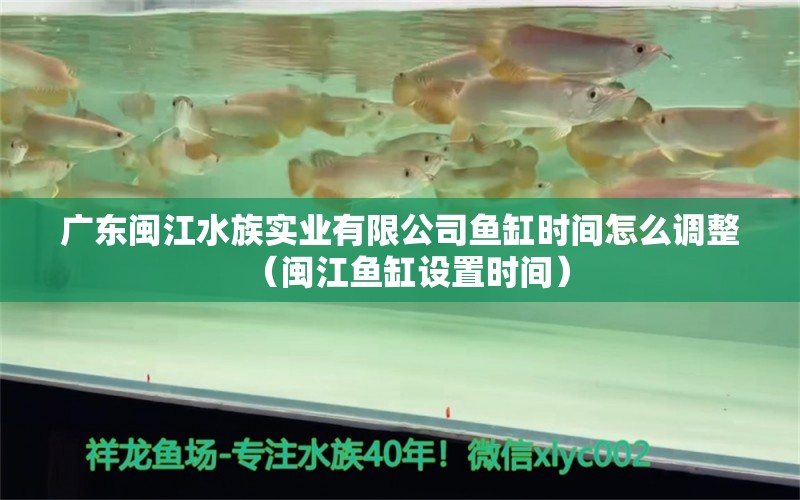 廣東閩江水族實(shí)業(yè)有限公司魚(yú)缸時(shí)間怎么調(diào)整（閩江魚(yú)缸設(shè)置時(shí)間）