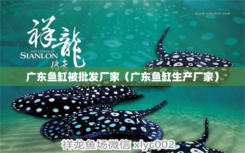 廣東魚缸被批發(fā)廠家（廣東魚缸生產(chǎn)廠家） 其他品牌魚缸