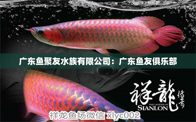 廣東魚聚友水族有限公司：廣東魚友俱樂部 全國水族館企業(yè)名錄