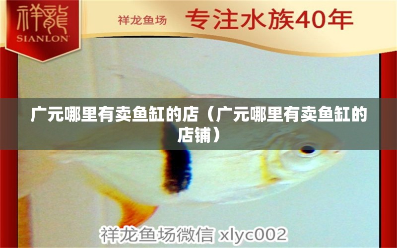 廣元哪里有賣魚缸的店（廣元哪里有賣魚缸的店鋪） 其他品牌魚缸