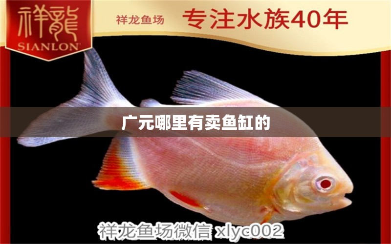 廣元哪里有賣魚缸的 其他品牌魚缸