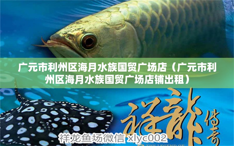 廣元市利州區(qū)海月水族國貿(mào)廣場店（廣元市利州區(qū)海月水族國貿(mào)廣場店鋪出租）