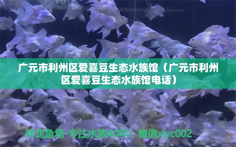 廣元市利州區(qū)愛喜豆生態(tài)水族館（廣元市利州區(qū)愛喜豆生態(tài)水族館電話） 全國水族館企業(yè)名錄