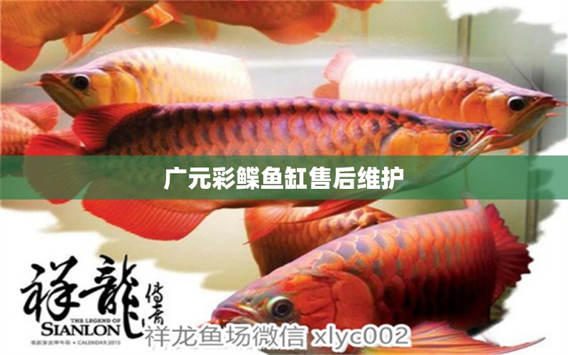 廣元彩鰈魚缸售后維護(hù) 彩鰈魚缸（彩蝶魚缸）