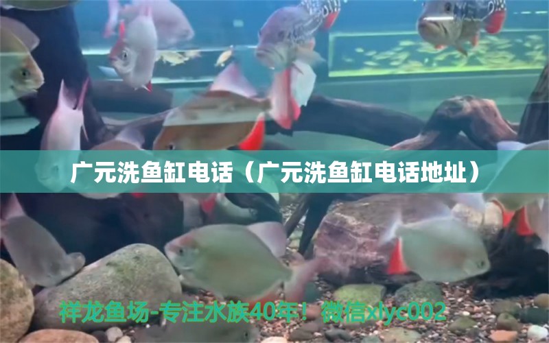 廣元洗魚缸電話（廣元洗魚缸電話地址）