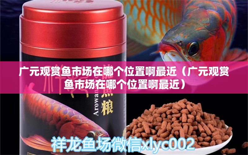 廣元觀賞魚市場在哪個位置啊最近（廣元觀賞魚市場在哪個位置啊最近） 黑水素