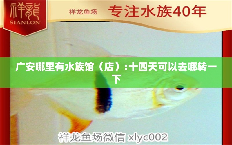 廣安哪里有水族館（店）:十四天可以去哪轉(zhuǎn)一下