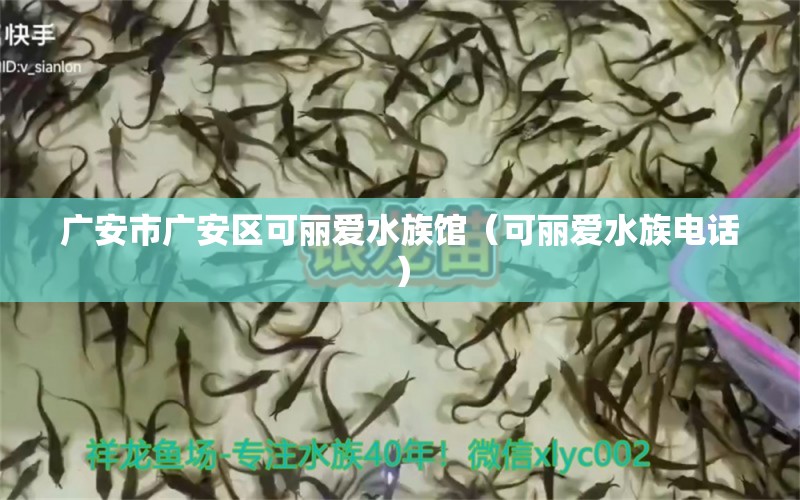 廣安市廣安區(qū)可麗愛水族館（可麗愛水族電話） 全國水族館企業(yè)名錄