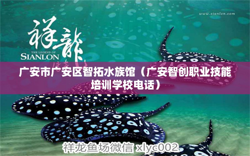 廣安市廣安區(qū)智拓水族館（廣安智創(chuàng)職業(yè)技能培訓(xùn)學(xué)校電話） 全國(guó)水族館企業(yè)名錄