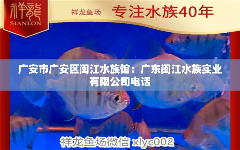 廣安市廣安區(qū)閩江水族館：廣東閩江水族實(shí)業(yè)有限公司電話