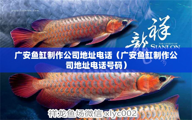 廣安魚(yú)缸制作公司地址電話（廣安魚(yú)缸制作公司地址電話號(hào)碼） 祥龍水族醫(yī)院