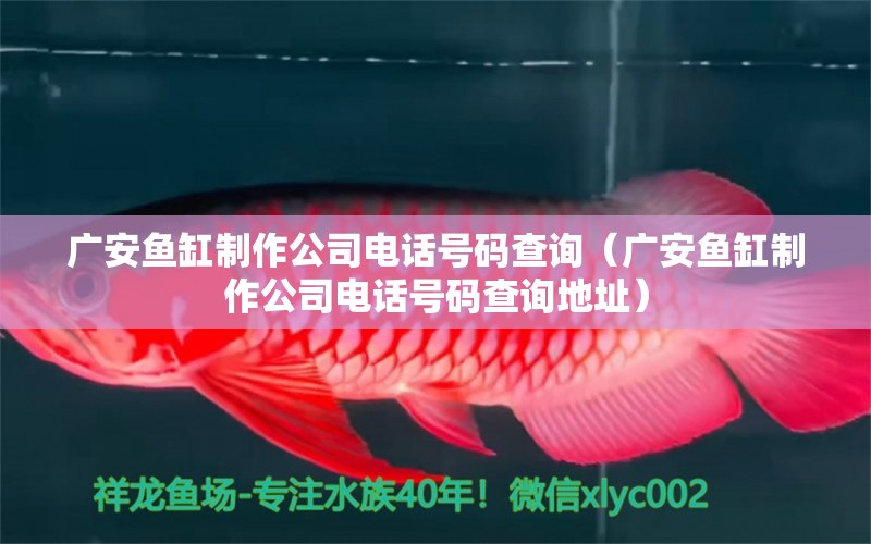 廣安魚(yú)缸制作公司電話號(hào)碼查詢(xún)（廣安魚(yú)缸制作公司電話號(hào)碼查詢(xún)地址）