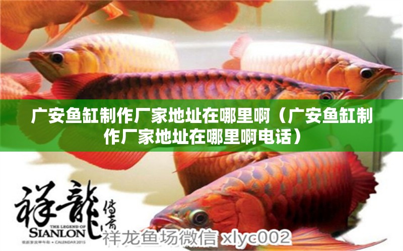 廣安魚缸制作廠家地址在哪里?。◤V安魚缸制作廠家地址在哪里啊電話）