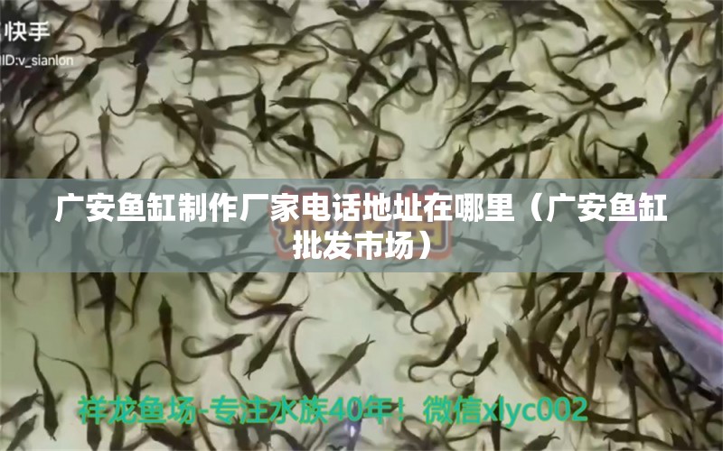 廣安魚(yú)缸制作廠家電話地址在哪里（廣安魚(yú)缸批發(fā)市場(chǎng)） 造景/裝飾