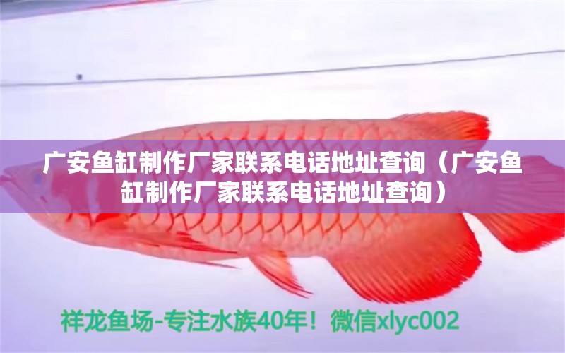 廣安魚缸制作廠家聯(lián)系電話地址查詢（廣安魚缸制作廠家聯(lián)系電話地址查詢） 女王大帆魚苗