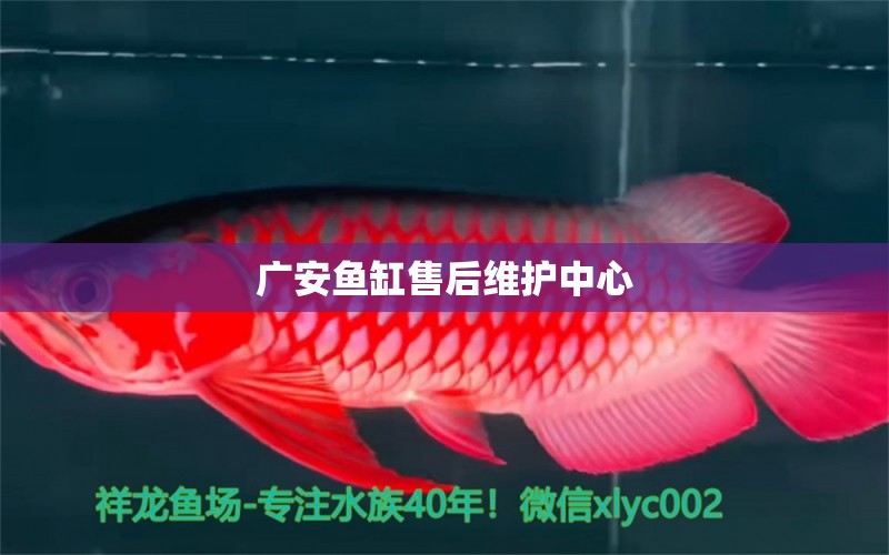 廣安魚缸售后維護中心 其他品牌魚缸