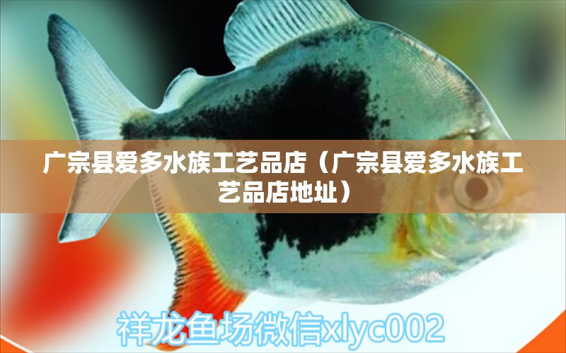 廣宗縣愛多水族工藝品店（廣宗縣愛多水族工藝品店地址） 全國水族館企業(yè)名錄