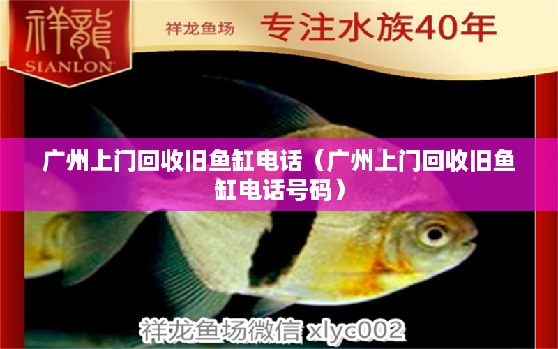 廣州上門回收舊魚缸電話（廣州上門回收舊魚缸電話號(hào)碼） 祥龍水族醫(yī)院