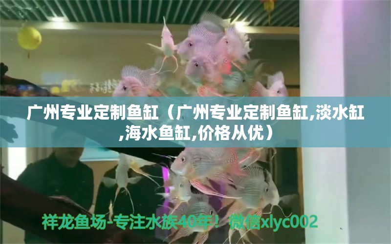 廣州專業(yè)定制魚缸（廣州專業(yè)定制魚缸,淡水缸,海水魚缸,價格從優(yōu)）