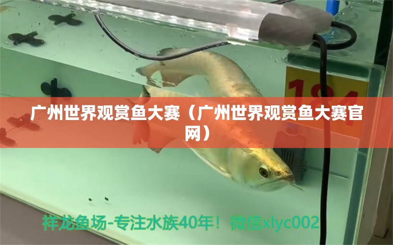 廣州世界觀賞魚大賽（廣州世界觀賞魚大賽官網(wǎng)）