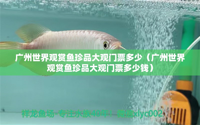 廣州世界觀賞魚珍品大觀門票多少（廣州世界觀賞魚珍品大觀門票多少錢）