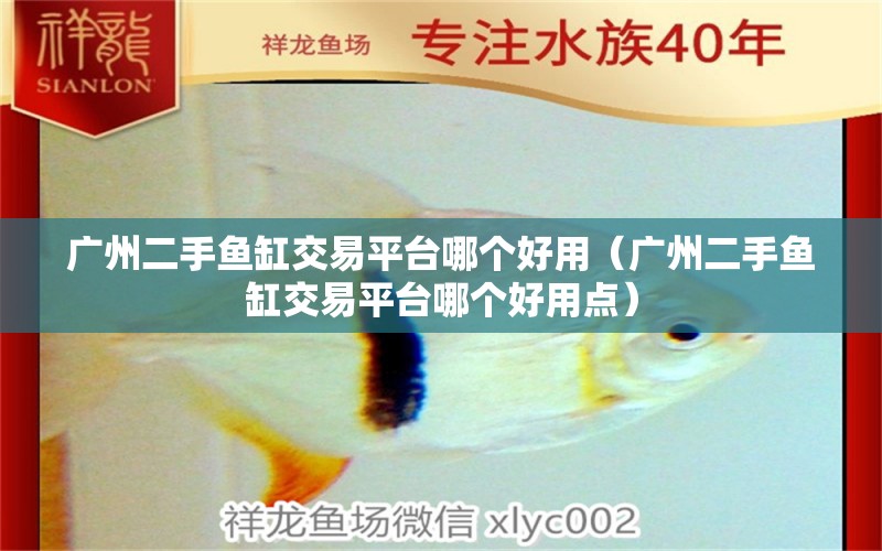 廣州二手魚缸交易平臺哪個好用（廣州二手魚缸交易平臺哪個好用點）