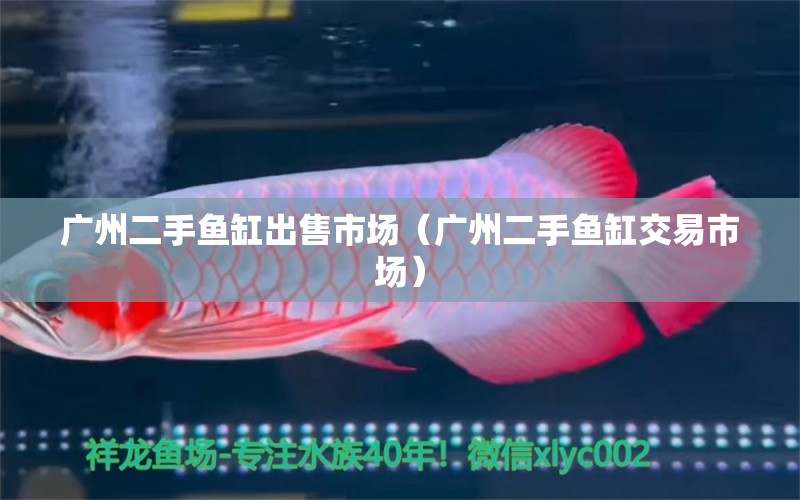 廣州二手魚缸出售市場（廣州二手魚缸交易市場）