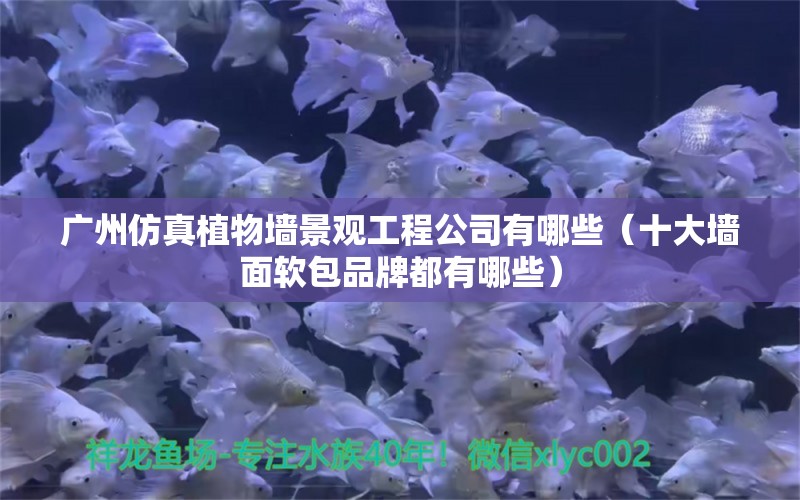 廣州仿真植物墻景觀工程公司有哪些（十大墻面軟包品牌都有哪些） 廣州景觀設(shè)計(jì) 第2張