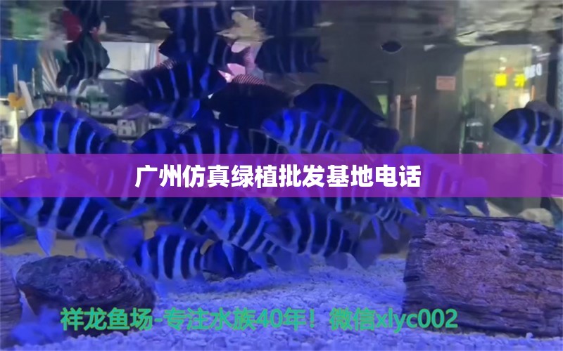 廣州仿真綠植批發(fā)基地電話  廣州景觀設(shè)計 第1張