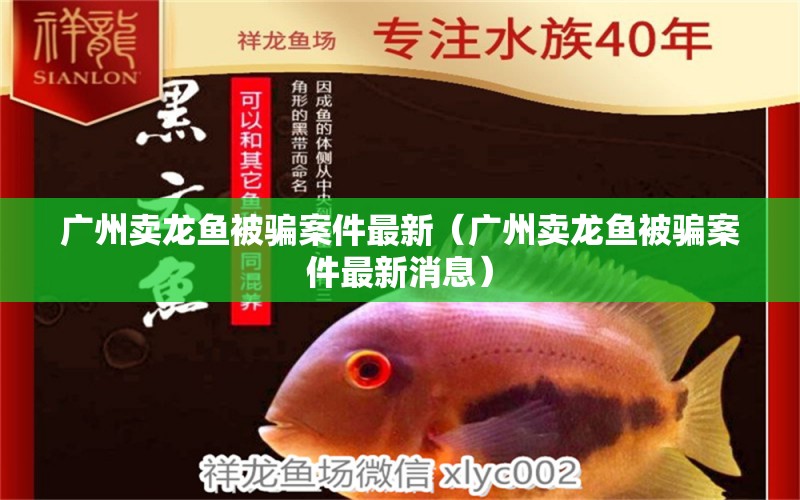 廣州賣(mài)龍魚(yú)被騙案件最新（廣州賣(mài)龍魚(yú)被騙案件最新消息）