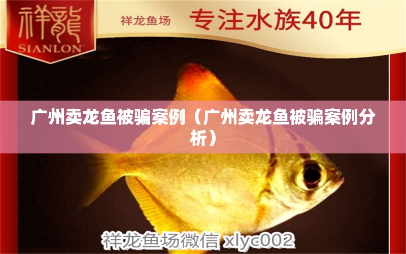 廣州賣龍魚被騙案例（廣州賣龍魚被騙案例分析）