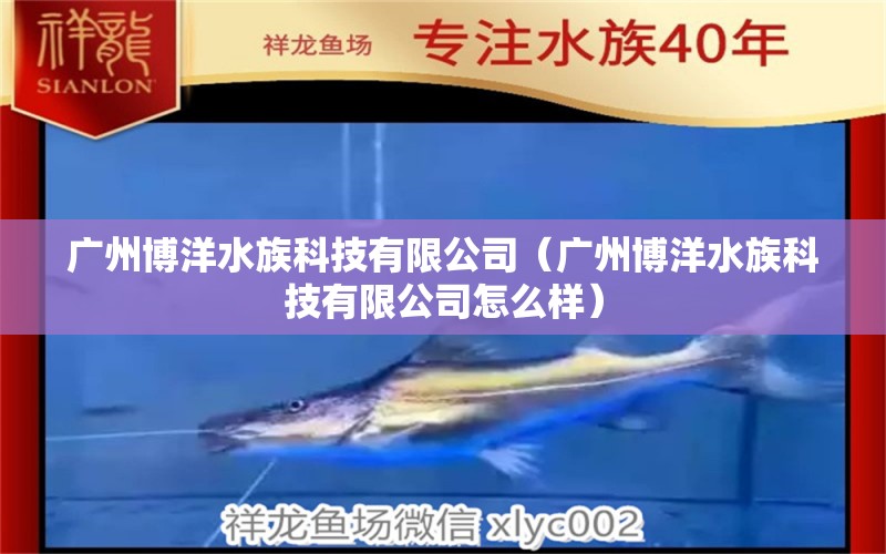 廣州博洋水族科技有限公司（廣州博洋水族科技有限公司怎么樣） 全國水族館企業(yè)名錄