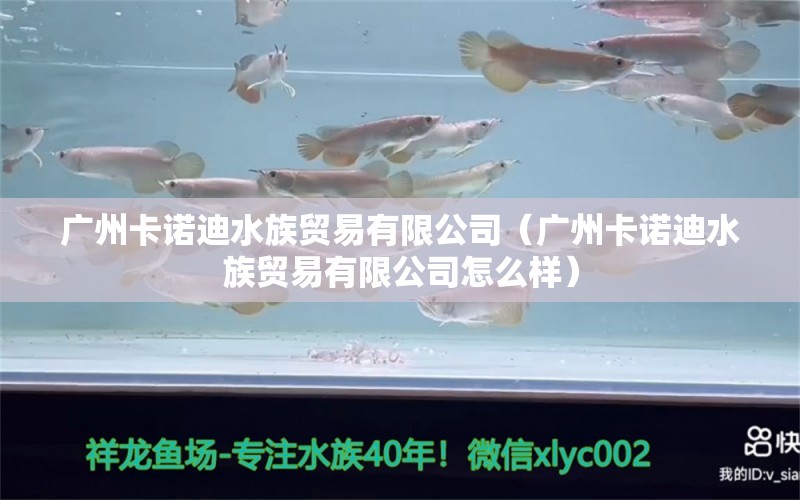 廣州卡諾迪水族貿(mào)易有限公司（廣州卡諾迪水族貿(mào)易有限公司怎么樣）