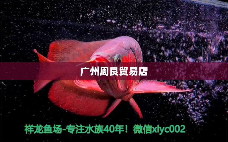 廣州周良貿(mào)易店 全國水族館企業(yè)名錄