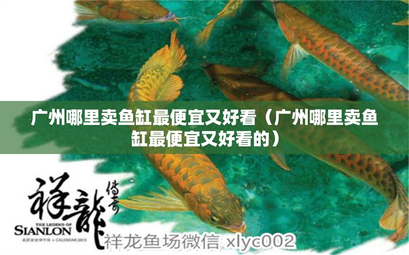 廣州哪里賣魚缸最便宜又好看（廣州哪里賣魚缸最便宜又好看的） 祥龍水族醫(yī)院