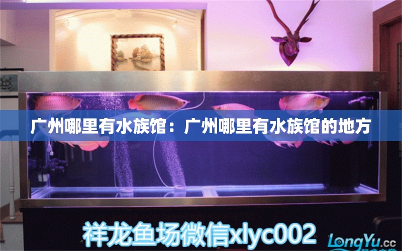 廣州哪里有水族館：廣州哪里有水族館的地方 觀賞魚(yú)