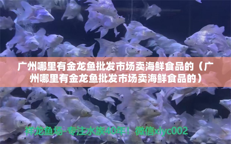 廣州哪里有金龍魚批發(fā)市場(chǎng)賣海鮮食品的（廣州哪里有金龍魚批發(fā)市場(chǎng)賣海鮮食品的） 龍魚批發(fā)