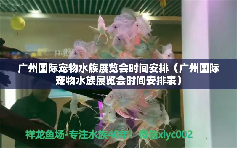 廣州國際寵物水族展覽會時間安排（廣州國際寵物水族展覽會時間安排表）