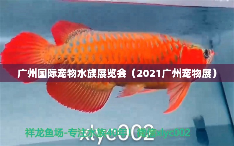 廣州國際寵物水族展覽會（2021廣州寵物展）