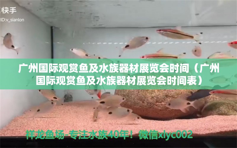 廣州國(guó)際觀賞魚及水族器材展覽會(huì)時(shí)間（廣州國(guó)際觀賞魚及水族器材展覽會(huì)時(shí)間表）