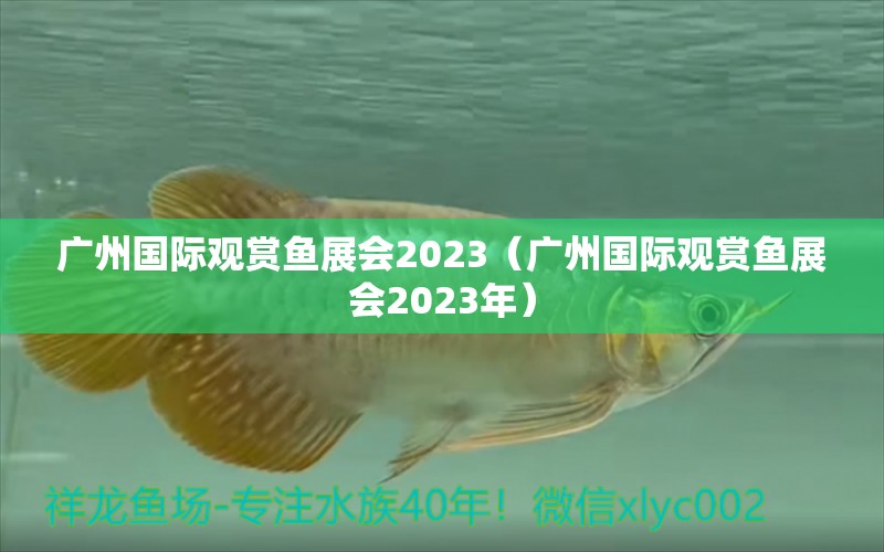 廣州國際觀賞魚展會2023（廣州國際觀賞魚展會2023年）