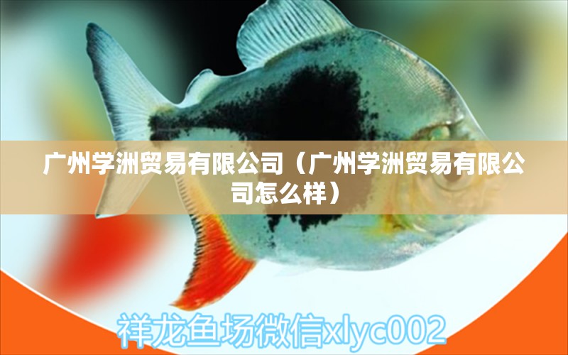 廣州學(xué)洲貿(mào)易有限公司（廣州學(xué)洲貿(mào)易有限公司怎么樣） 全國水族館企業(yè)名錄