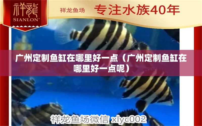 廣州定制魚缸在哪里好一點（廣州定制魚缸在哪里好一點呢）