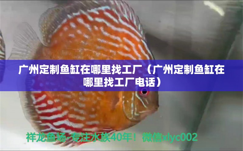 廣州定制魚缸在哪里找工廠（廣州定制魚缸在哪里找工廠電話）