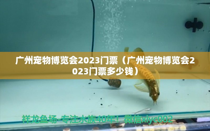 廣州寵物博覽會2023門票（廣州寵物博覽會2023門票多少錢）