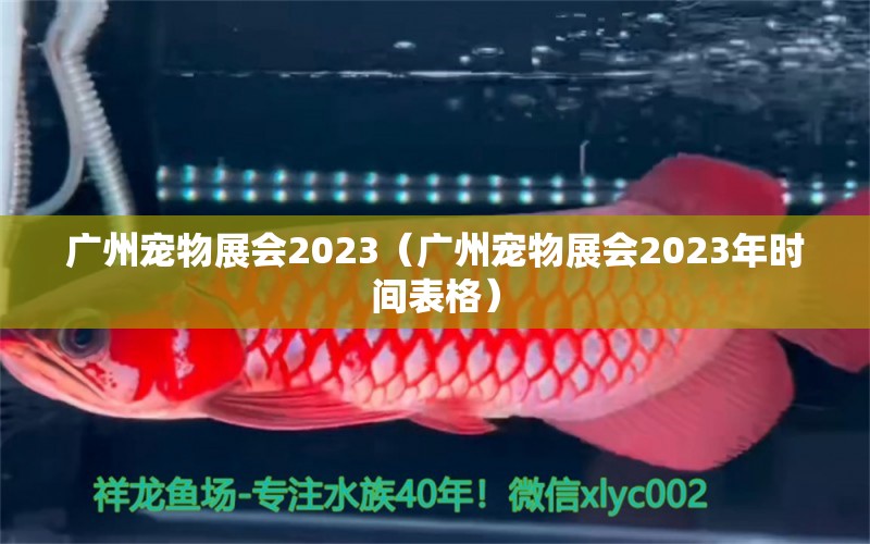 廣州寵物展會(huì)2023（廣州寵物展會(huì)2023年時(shí)間表格） 廣州水族批發(fā)市場