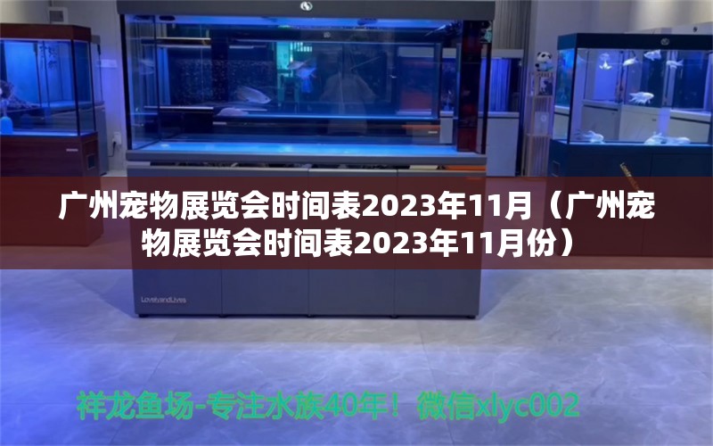 廣州寵物展覽會時間表2023年11月（廣州寵物展覽會時間表2023年11月份）