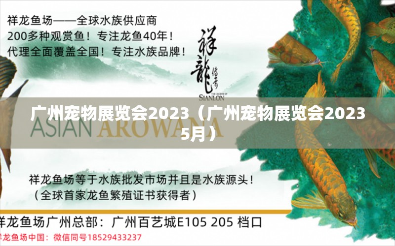 廣州寵物展覽會2023（廣州寵物展覽會20235月）