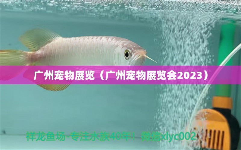 廣州寵物展覽（廣州寵物展覽會2023）