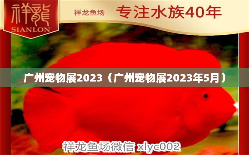 廣州寵物展2023（廣州寵物展2023年5月）